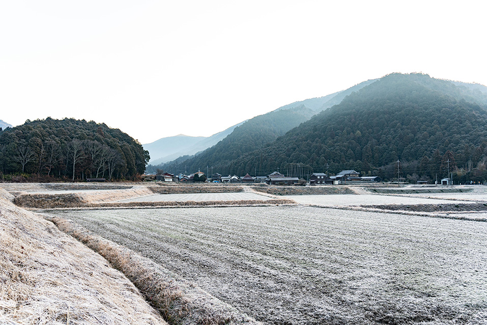 黒田庄